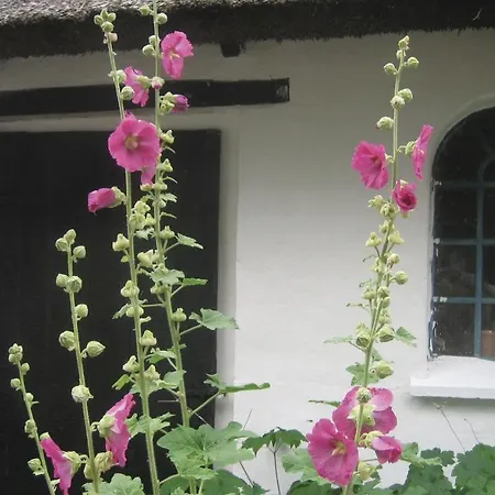 One-bedroom Holiday In * Nakskov